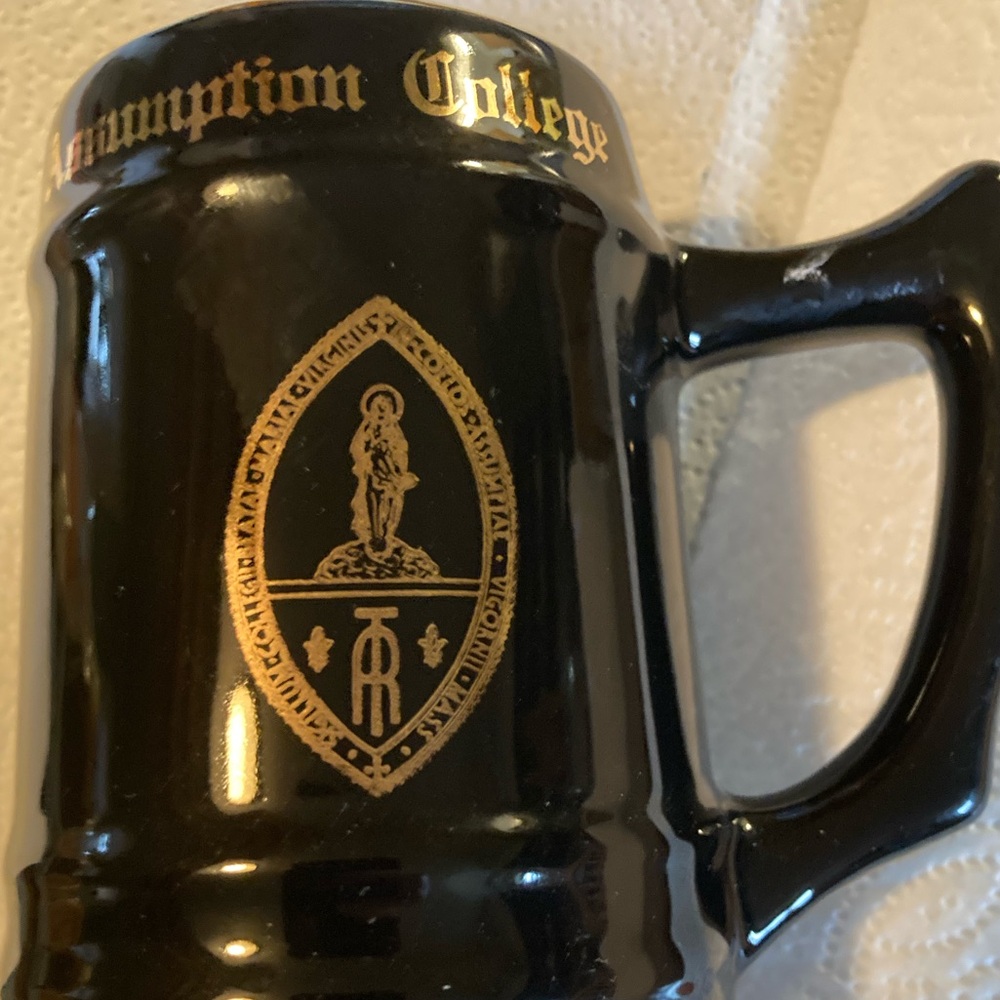 Assumption college beer mug